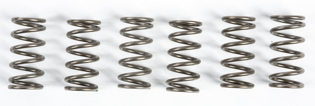 EBC Motorcycle Brakes clutch springs CSK165, 15-17165, showing close-up of metal coil springs for clutch adjustment.