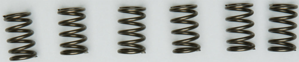 EBC Motorcycle Brakes clutch springs CSK171, durable replacement springs for motorcycle clutch systems, shown in close-up image.