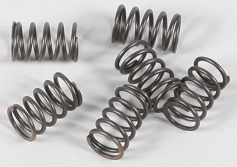 EBC Motorcycle Brakes clutch springs CSK18 15-1718, durable replacement clutch springs for motorcycle clutch assembly.