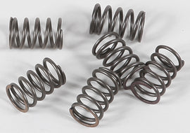 EBC Motorcycle Brakes clutch springs Csk18 15-1718, durable replacement parts for motorcycle clutch systems