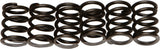EBC Motorcycle Brakes Clutch Springs Csk19 15-1719