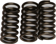 Load image into Gallery viewer, EBC Motorcycle Brakes clutch springs CSK203, durable coil springs for motorcycle clutch system, black metal components.