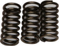 EBC Motorcycle Brakes clutch springs CSK203, durable coil springs for motorcycle clutch system, black metal components.