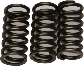 EBC Motorcycle Brakes clutch springs CSK203, used for clutch assembly, shown in close-up with metallic finish and coiled design.