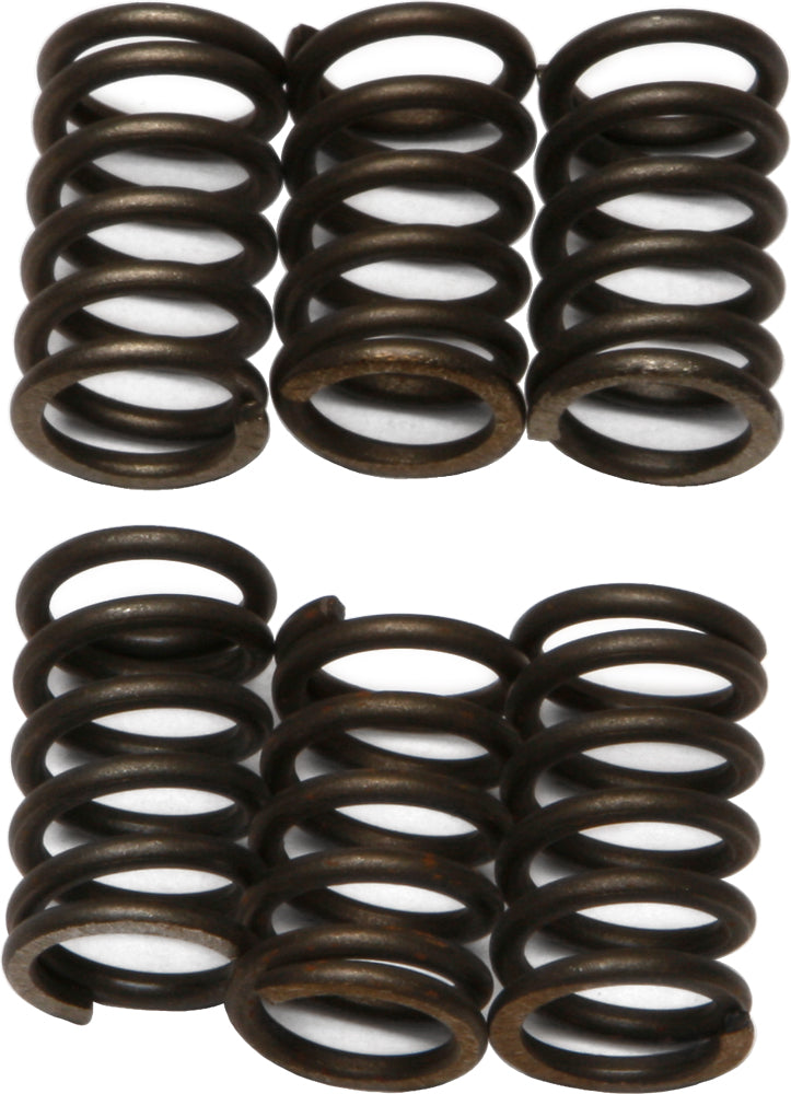 EBC Motorcycle Brakes clutch springs CSK23 15-1723, showing metallic coil springs for clutch assembly on a motorcycle.