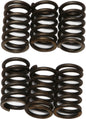 EBC Motorcycle Brakes clutch springs CSK23 15-1723, showing metallic coil springs for clutch assembly on a motorcycle.