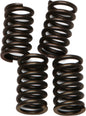 EBC Motorcycle Brakes clutch springs CSK26 15-1726, high-quality replacement clutch springs for motorcycle clutch systems.