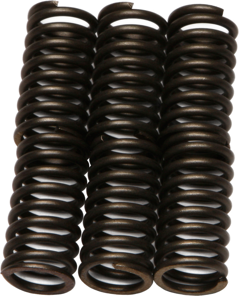 EBC Motorcycle Brakes clutch springs CSK30 15-1730 showing close-up of metallic coil springs for clutch assembly.