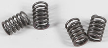Load image into Gallery viewer, EBC Motorcycle Brakes clutch springs CSK48 15-1748, durable replacement clutch springs for motorcycle clutch systems.