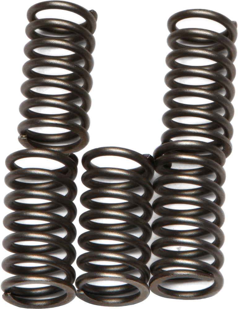EBC Motorcycle Brakes clutch springs Csk56 15-1756, close-up of metal springs for clutch assembly on motorcycle engine.