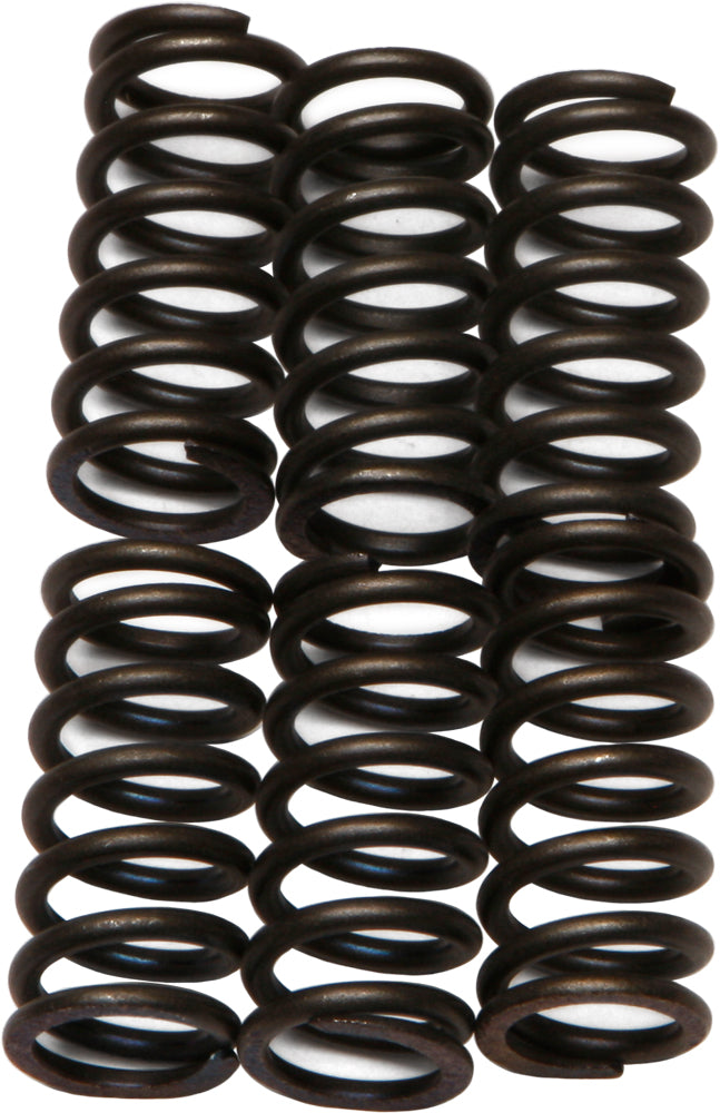 EBC Motorcycle Brakes clutch springs CSK6 15-1706, close-up of durable coil springs for clutch performance.
