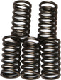 EBC Motorcycle Brakes clutch springs CSK65 15-1765, metallic coil springs for motorcycle clutch system, close-up view