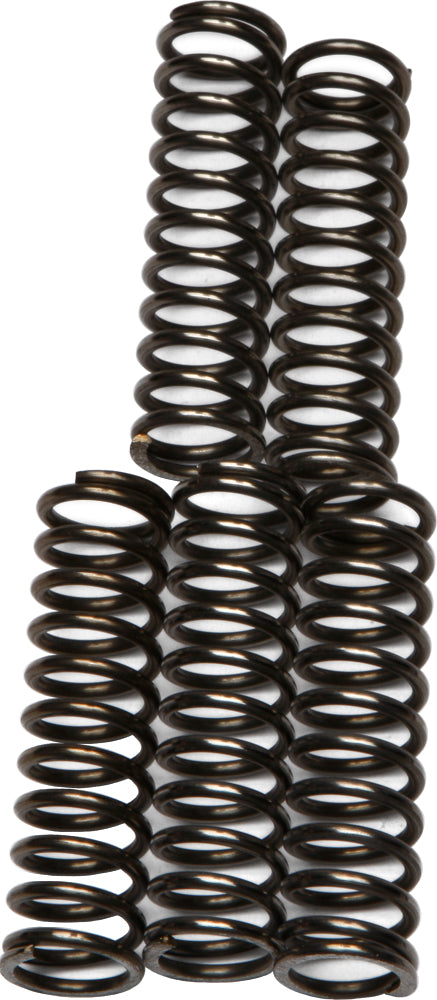 EBC Motorcycle Brakes clutch springs CSK67 15-1767, durable replacement parts for motorcycle clutch systems.