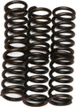 EBC Motorcycle Brakes clutch springs CSK7 15-1707 showing metal coil springs for clutch assembly in close-up
