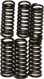 EBC Motorcycle Brakes clutch springs CSK75 15-1775, showing close-up of durable metallic clutch springs for motorcycle clutch system.