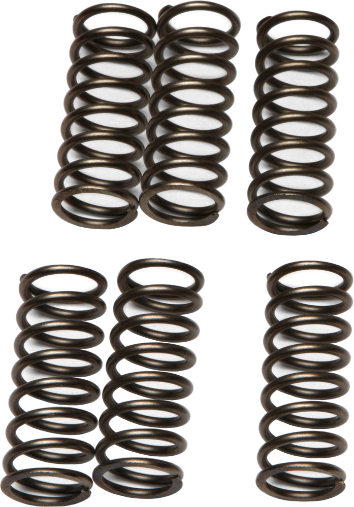 EBC Motorcycle Brakes clutch springs CSK79 15-1779, durable replacement clutch springs for motorcycle clutch systems