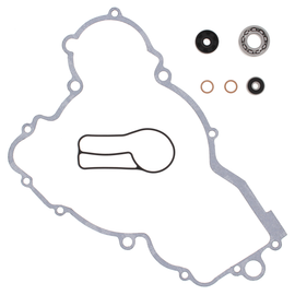 Vertex Water Pump Rebuild Kit for engine, showing parts and components laid out on a work surface.