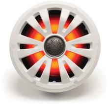 Load image into Gallery viewer, EcoXGear 8-inch marine speaker for outdoor audio, durable waterproof design, ideal for boats and marine environments.