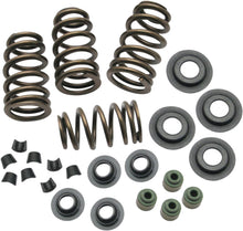 Charger l'image dans la galerie, Beehive Conversion Spring Kit Evo Bt 84 03 .650 Lift