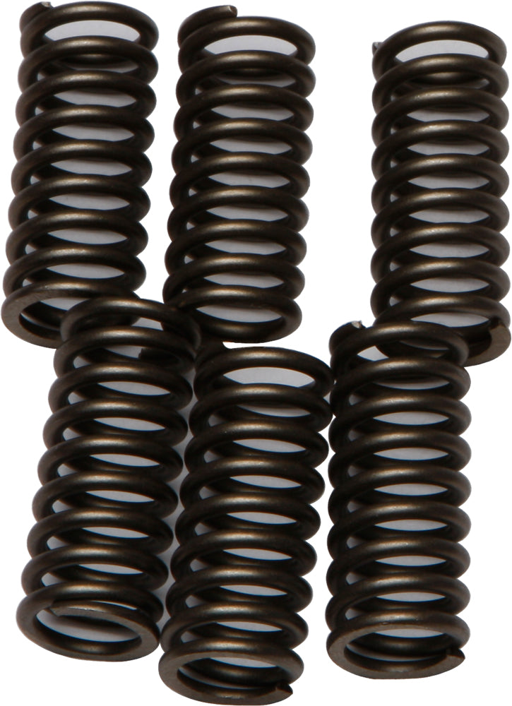 EBC Motorcycle Brakes clutch springs Csk102 15-17102, close-up showing metallic coil springs for clutch assembly.
