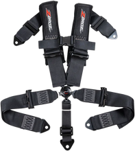 Charger l'image dans la galerie, 3" 5 Point Cam Lock Harness