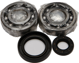 All Balls engine crankshaft bearing and seal kit with multiple bearings and seals displayed in a plastic tray.