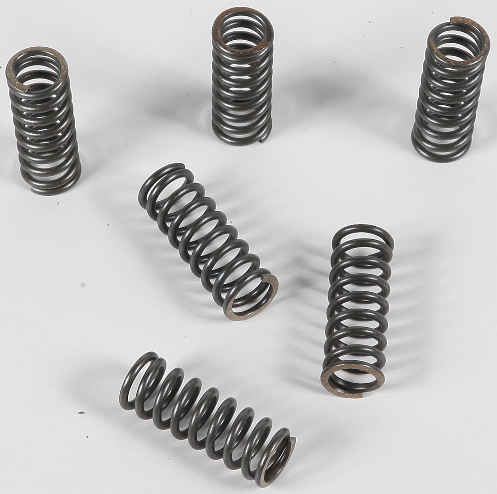 EBC Motorcycle Brakes clutch springs Csk45 15-1745, close-up of black clutch springs on a motorcycle component.