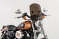 fb74-572a70df2711a.jpg