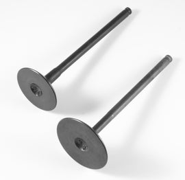 Shindy engine valve set Pol 68-18420 with multiple metal valves arranged in a row for automotive repair.