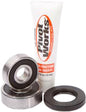 Pivot Works rear wheel bearing kit 52-02602 for drive applications, showing the assembled bearing components.