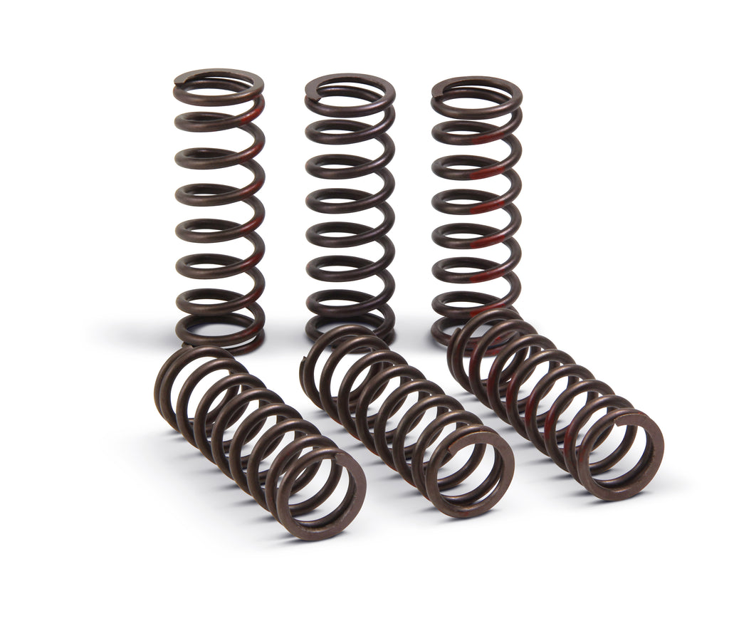 Pro Circuit drive clutch springs, model 793-6081, designed for motorcycle clutch systems, shown in the image.