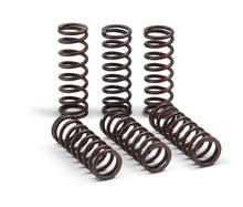 Load image into Gallery viewer, Pro Circuit drive clutch springs, model 793-6081, designed for motorcycle clutch systems, shown in the image.