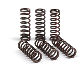 Pro Circuit drive clutch springs, model 793-6081, designed for motorcycle clutch systems, shown in the image.