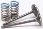 ProX Racing Parts titanium-steel intake valve conversion set for engine, includes multiple valves with detailed components.