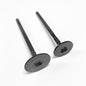 Shindy engine valve set Pol 68-18421, metallic valves with springs and seals, arranged on a white background.