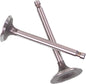 Shindy engine valve set for Honda Trx500 Foreman 2005-2012, with multiple valves displayed in the image.