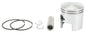 SP1 piston kit S-D 54-753PS showing piston components and parts for engine repair or replacement.