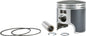 SP1 SP1 Piston T-Moly Pol 550 piston kit with components, featuring metal finish and detailed parts for engine repair.