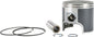 SP1 SP1 Piston T-Moly S-D 54-761P2 piston kit with metal components and piston rings, detailed view of engine parts.